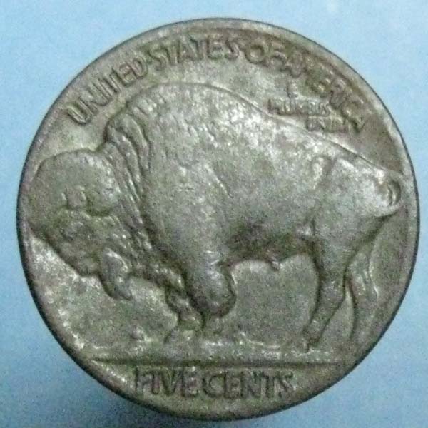 Buffalo-Nickel-From-My-Yard
